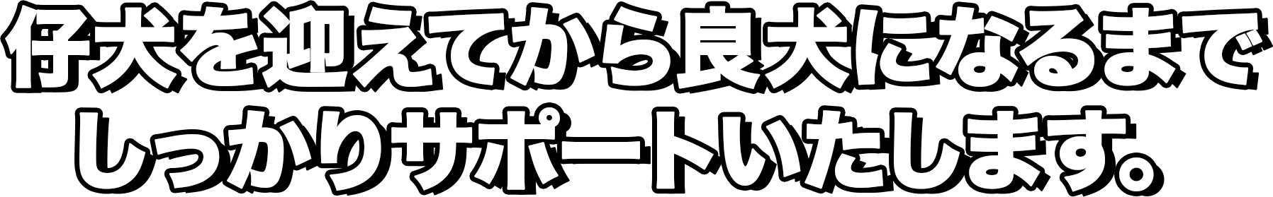 ヨシムラドッグスクール