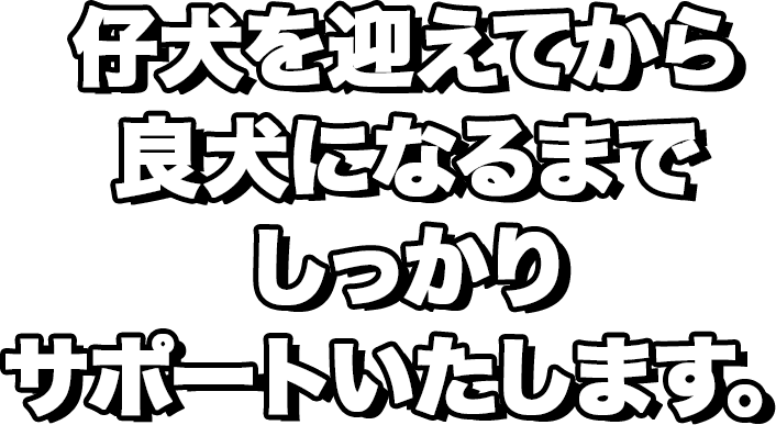 ヨシムラドッグスクール